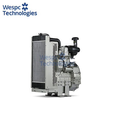 Good price WESPC 403D-15G Free Energy Generator With Perkins Engine Diesel Genset online