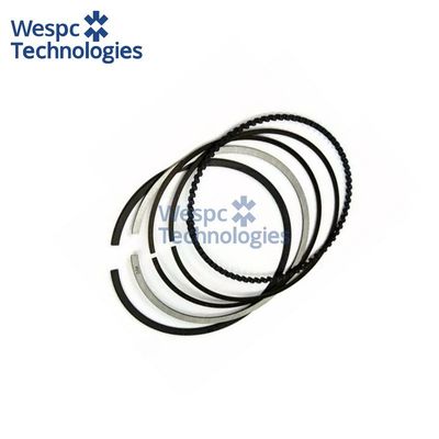 Good price WESPC LP182 6524 STD piston ring kit for Perkins 6.354.4 Build 3 diesel engines online