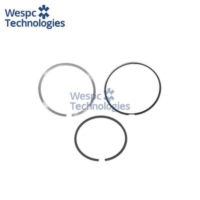 ভালো দাম WESPC 1830724C92 piston ring kit for Perkins 1300 Series diesel engines অনলাইন