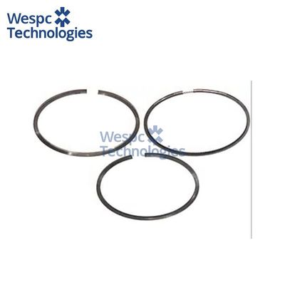 ভালো দাম WESPC 4181A101 piston ring kit for Perkins 1104C and 1104D diesel engines অনলাইন