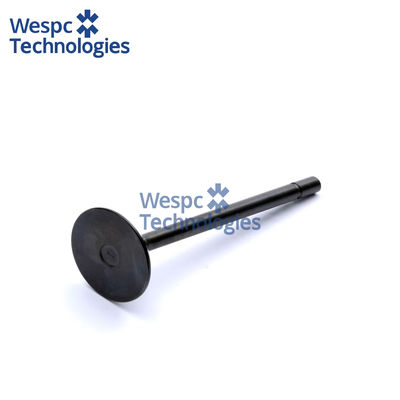 Bom preço WESPC Exhaust Valve 120176410 For Perkins 404D-22T 404D-22TA 404C-22T Diesel Engine on-line