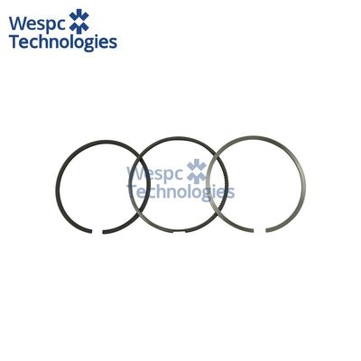 ভালো দাম WESPC 1817247C93 piston ring kit for Perkins 1300 Series diesel engines অনলাইন