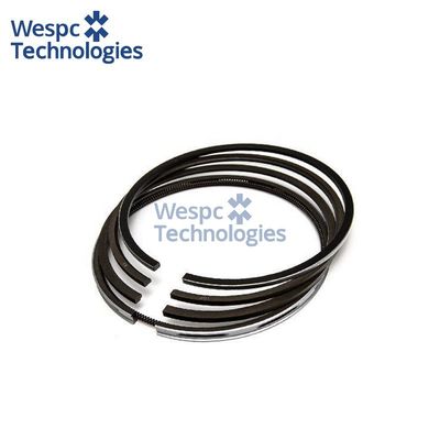 ভালো দাম WESPC 4181A106 piston ring kit for Perkins 704 Series diesel engines অনলাইন