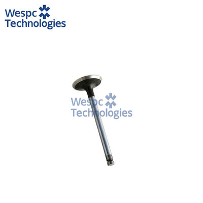 ভালো দাম WESPC Intake Valve 3142D041 For Perkins 1004-40T 1006-60T T6.601 CCW6.601 অনলাইন