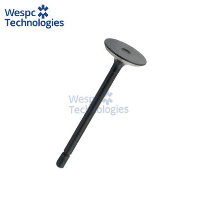 Good price WESPC Intake Valve 120166380 For Perkins 403D-11 403D-15 403D-17 404D-15 404D-22 T Diesel Engines online