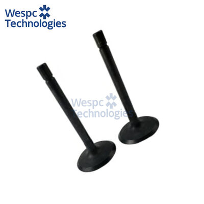 Goede prijs WESPC Valve Inlet U20166380 voor Perkins 400 series diesel engines online