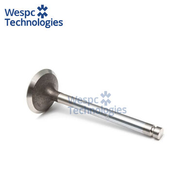 Good price WESPC Exhaust Valve T405211 for Perkins 1204E E44TA 1206F E70TTA diesel engines online