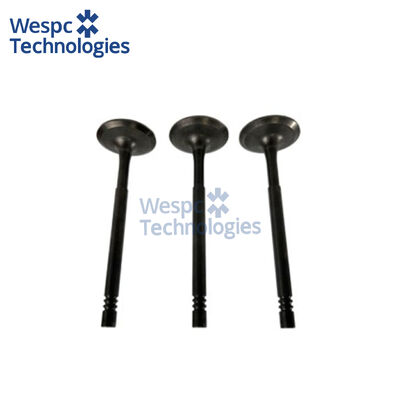 Καλή τιμή Βαλβίδα Εισαγωγής WESPC T406777 για κινητήρες ντίζελ Perkins 1204E E44TA 1206F E70TTA σε απευθείας σύνδεση