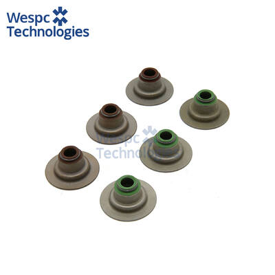 Harga yang bagus Segel Batang Katup WESPC 2418M519 untuk Perkins Seri 1103 1104 CAT C9 3 on line