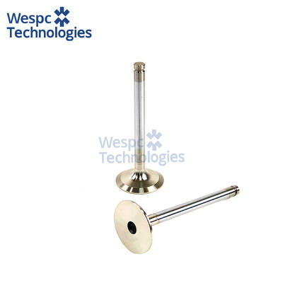 ভালো দাম WESPC 3142L072 CAT 3054 জেনারেটর এক্সক্যাভেটর ইঞ্জিনের জন্য ইনপুট ভালভ অনলাইন