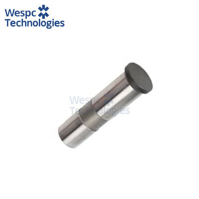 Buen precio WESPC T411902 Taqué para Perkins 1204 1206E-E66TA CAT 320E en línea