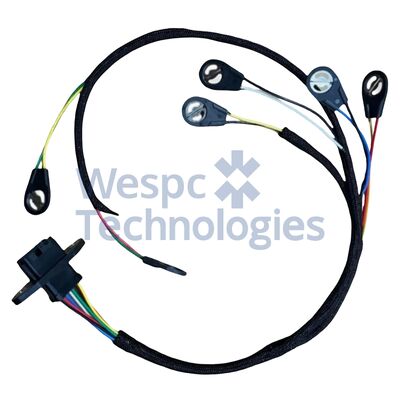 İyi bir fiyat. WESPC 345C 345D 349D Kazı makinesi C13 Motor yakıt enjeksiyonu kemeri 230-0960 2300960 çevrimiçi