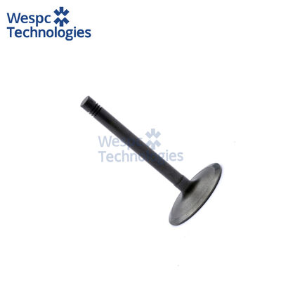 Good price WESPC Exhaust Valve 3142A181 for Perkins 1106D 1106C 1106E diesel engines online